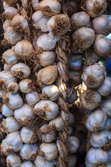 Close up of garlic on market stand