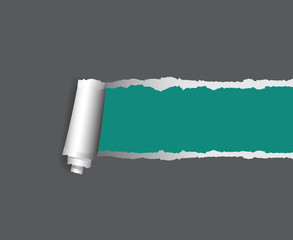 Background vector with copyspace for design, torn paper