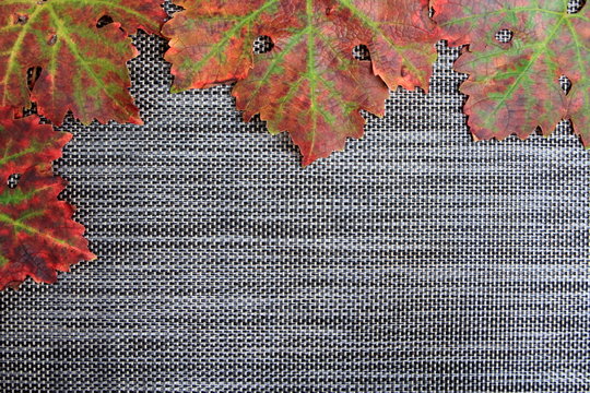 leaves background with copy-space for text