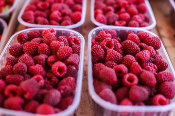 A beautiful selection of freshly picked ripe red raspberries.