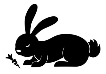 Obraz na płótnie Canvas rabbit carrot