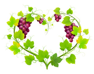 Grapes with leaves in the form of heart. Vector