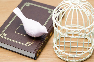 本の上の小鳥と鳥篭