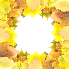 Frame of colorful autumn leaves