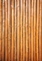 pine wood wall
