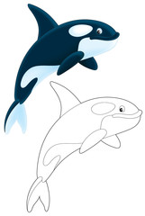 Fototapeta premium Orca diving