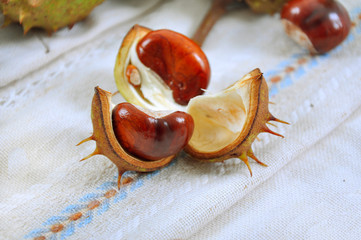 chestnut with crust on the linen tablecloth