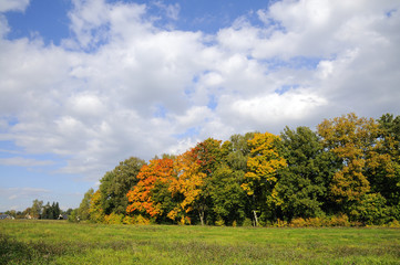 Fototapeta premium Herbst