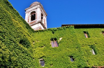 edificio ricoperto di edera
