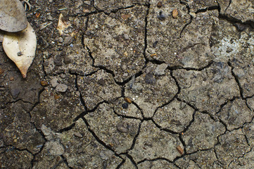 Cracked and barren ground