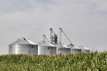Silos in the Corn © Fawls Photography