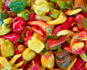 variety of colorful peppers, natural background