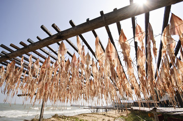 squid hanging to dry in open air
