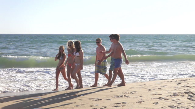 Group Of Teenage Friends Walking Along Beach