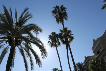 Oktobersonne &uuml;ber Barcelona