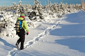 Woman hiking in winter mountains, Poland