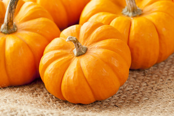 Fresh Orange Organic Pumpkin