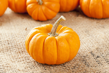 Fresh Orange Organic Pumpkin