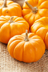 Fresh Orange Organic Pumpkin