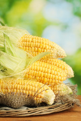 fresh corn, on wooden table, on green background