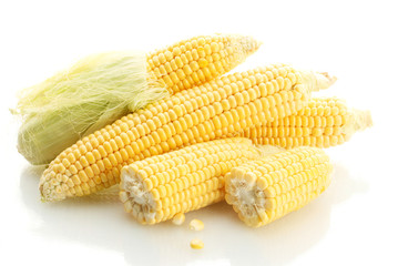 fresh corn, isolated on white