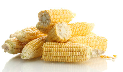 fresh corn, isolated on white
