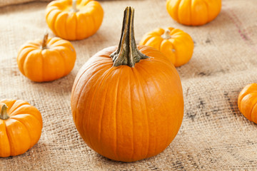 Fresh Orange Organic Pumpkin
