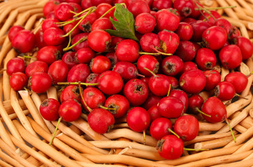Hawthorn on a wicker mat close-up