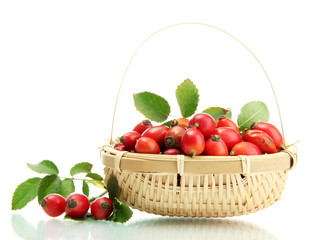 ripe hip roses with leaves in basket, isolated on white