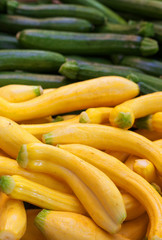 Yellow and Green zucchini