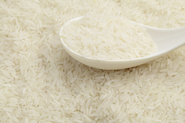 close up on rice