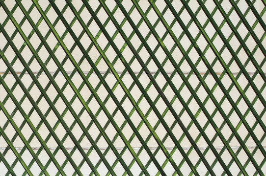 Green wooden lattice wall