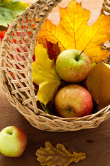 Apples and autumn maple leaves in a basket
