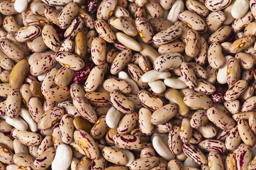 different colors of beans drying in the sun
