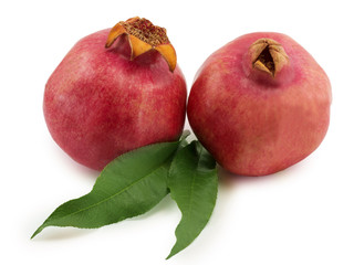 pomegranate