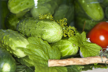 Vegetables and greens seasoning spices