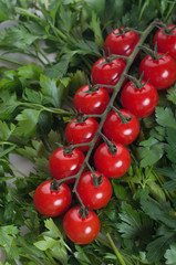 cherry tomato with green parsel