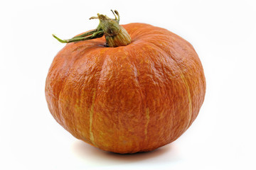 Large pumpkin isolated on white background