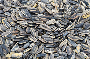 Sunflower seeds background