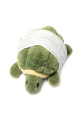 stuffed turtle with his shell bandaged, isolated on white