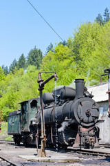 steam locomotive,delivery point in Oskova,Bosnia and Hercegovina