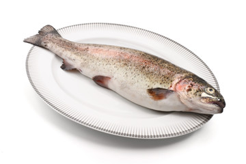 trota iridea - rainbow trout on a plate