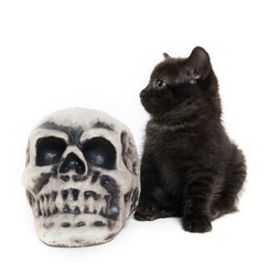 Black kitten with skull