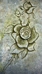 Old engraver rose in stone