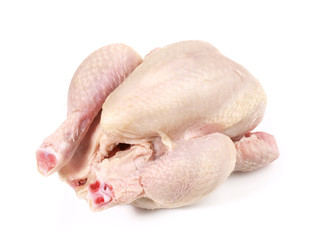 Stubenküken