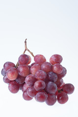 red grape