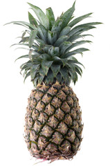 Obraz premium ripe whole pineapple on white background