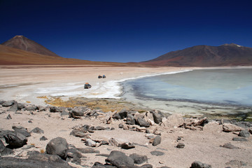 An der Laguna Blanca im bolivianischen Hochland