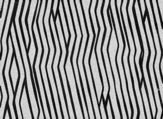 background zebra skin pattern