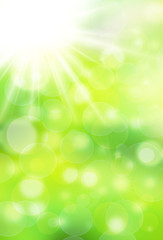 Fototapeta premium sunny natural background bokeh